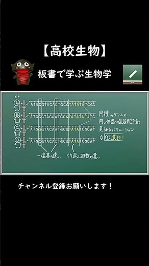 遺伝的多型（SNP）【119生物】 #shorts