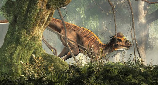 Meet the Pachycephalosaurus - The Dinosaur with a Hard Head