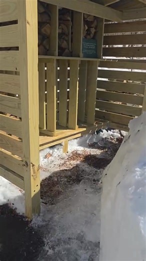 Thank you Diane for clearing out the path to our Magical Moon Community Woodshed! Now people who are struggling with heating through these tough times can Get in there more easily. You rock, Lady! Love you!💙🙏🏼 | Donna Green