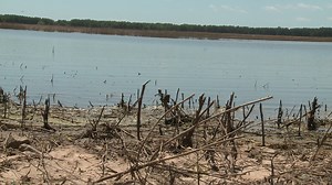 Flooding Destroys Sebastian County Farmer’s Crops