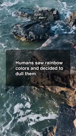 Humans Saw Rainbow Colors And Decided To Dull Them