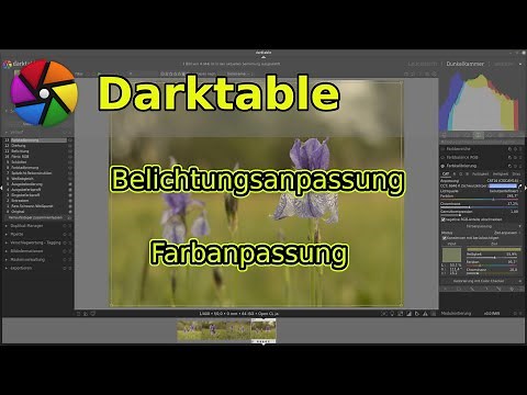Belichtungsanpassung und Farbanpassung in Darktable 4.0
