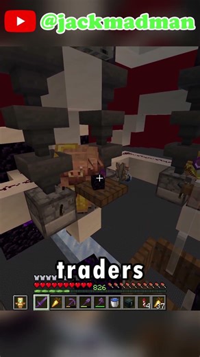 Piglin Bartering Farm Project!! Go Watch The Full Video jackmadman