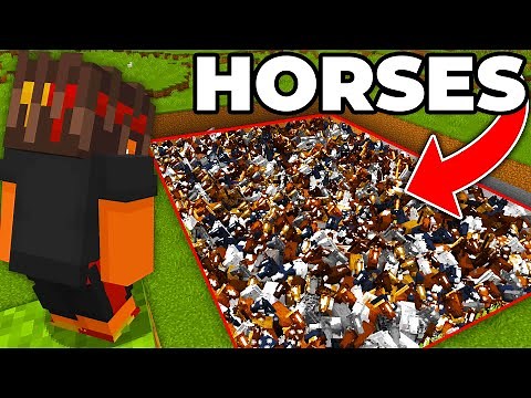 Breeding 1,023 Horses to Kill One Minecraft Player...