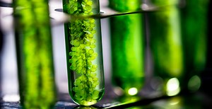 Argentina, dentro de los 10 países con más empresas de biotecnología