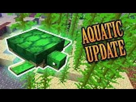 Minecraft 1.13 (18w08b) Update! + How to hatch turtle eggs fast!