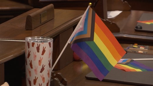 Democrats push to repeal Michigan’s same-sex marriage ban