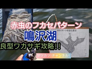 赤虫のフカセパターンで、鳴沢湖の良型ワカサギを攻略!
