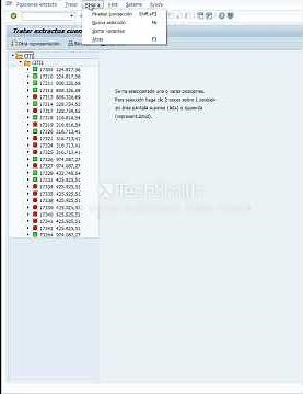 FEBAN VISUALIZACIÓN EXTRACTOS BANCARIOS CARGADOS (SAP)