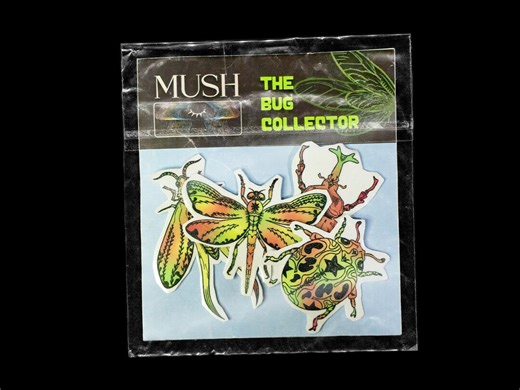 Insect Sticker Set | Transparent Waterproof Bug Stickers | UV Printed Nature Stickers for Journals & Laptops (pack of 4) - Etsy