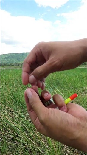 Using Crickets as Fishing Bait