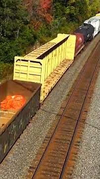 CSX train overhead view part 2.