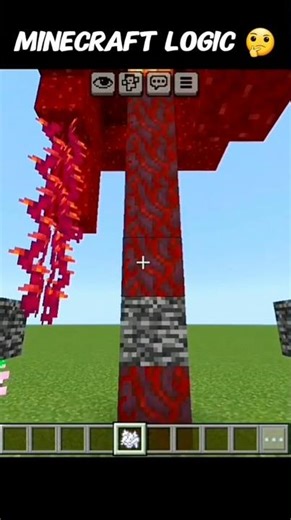 Minecraft Logic🤔 #minecraft #gaming #shorts