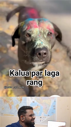 Dogesh Bhai par Rang 🥸 #shorts #shortvideo #shortsviral #shortsfeed #funny #funnydog #comedy #viral