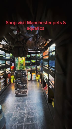 🐾 VISIT TO MANCHESTER PETS & AQUATICS 🐾 Today we headed over to Manchester Pets & Aquatics and honestly… what a place. The building is massive, and you can tell straight away they’ve put serious effort into creating a proper destination for animal lovers. There were loads of staff on hand, all busy helping customers and looking after the animals, which is always great to see. The whole place had a really good atmosphere. The selection was brilliant too – loads of fish, reptiles, and a wide ran