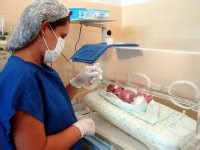 ISEA comemora Dia da Doação de Leite Humano - PB AGORA
