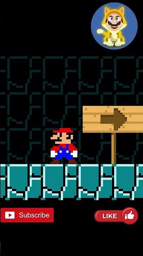 Mario and His Best Friend Adventure