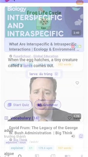 Vocatube english mastery application