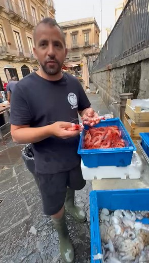 19K views · 351 reactions | Prenota al 340 60 94 386 da Lorenzo #motopescagiacomopadre #motopescamarialucia #gamberorosso #catania | Motopesca Marialucia | Facebook