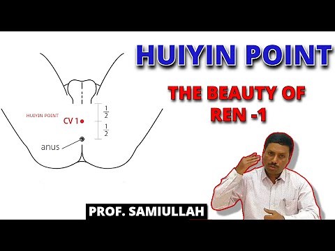 Huiyin Point - The beauty of Ren 1 | Ren Meridian - Acupuncture Point | Prof . Samiullah