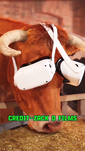 Aavulaki VR Petadam Nijamaa? 🐄🥽 #RealityCheck #VRTruth