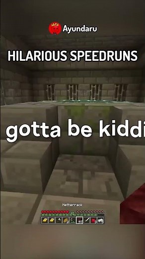 I Found The Funniest FAKE Minecraft Speedrun…