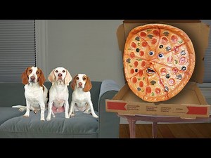 Dogs vs talking pizza prank funny Maymo, Potpie & Indie