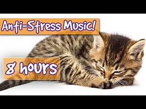 Music for Cats! Soothe Stressed Cats with Calming Music, Relieve Anxiety, Help Cats to Sleep! 🐱 💤