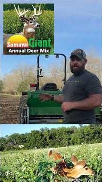Spring or Summer Food Plots... Which to Choose?