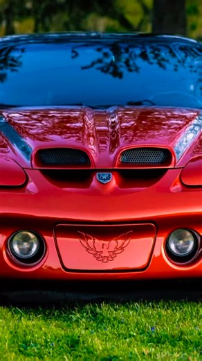 GMMG Registry on Instagram: "Carl Black Blackbird no.1 500hp by GMMG #transam #gmmg #fbody #pontiac #4thgenfbody"