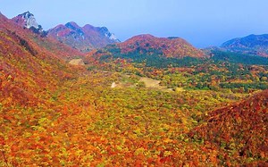 Gorgeous fall foliage from around the world