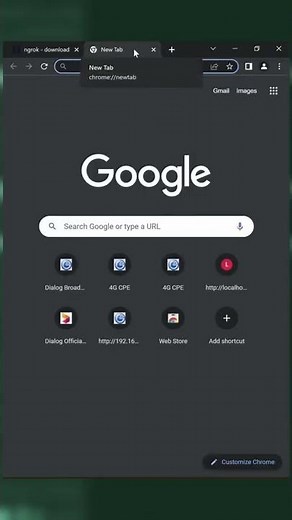 Access Your Localhost From The Public Internet | NGROK Tunneling Tutorial #shorts