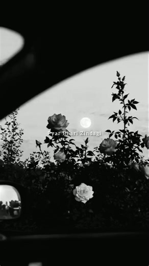 Teri Meri Zindagi Lyrics // Teri Meri Zindagi Song // Lata Mangeshkar Hits // #trending #oldsong