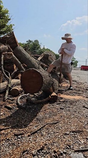Roll that log! #wood #chainsaw #diy #tips #woodworking #log #maker #lumberjack