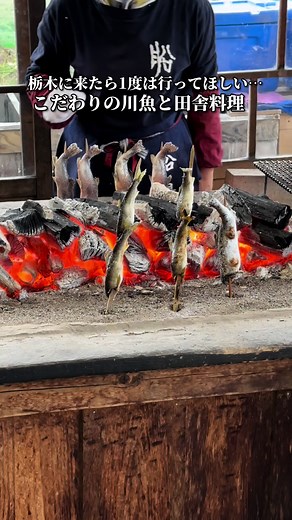 みんなの栃木で1番オススメのお店はどこ？ #栃木グルメ#日光グルメ#栃木観光#日光観光