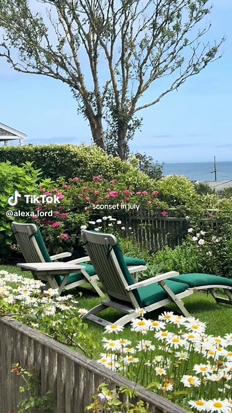 obsessed 🌸🌸🌸 #nantucketisland #nantucket #sconset #sconsetbluffwalk #summer #flowers #eastcoast #july