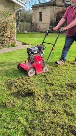 weibang scarifier doing a great job here #work #workout #lawncare #machinery