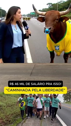 Os vídeos de Kennedy Cardoso politica brasi (@kennedycardoso149) com som original - Kennedy Cardoso politica brasi