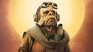 Who Is Baby Yoda? The Mandalorian Episode 1 Ending Explained