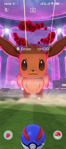 catching in Pokemon go of dynamax eevee.
