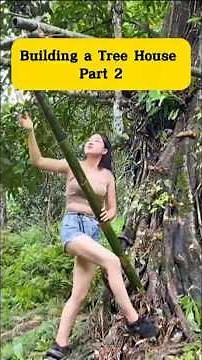 Building a Dream Treehouse From Scratch | DIY Forest Hideaway with Stunning Views Part 2