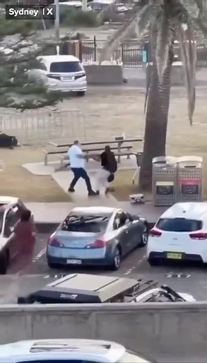 The Stunning Moment a Bystander Disarms One of the Bondi Beach Shooters