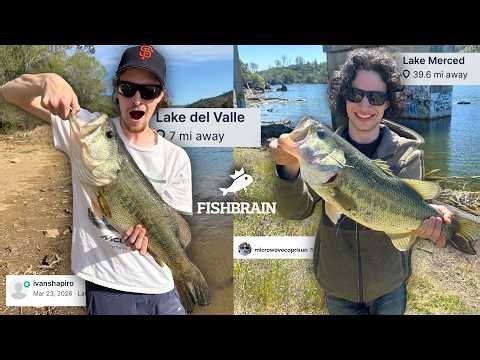 BEST CATCHES From Fishbrain! 😱 100+ GIANT Bass in the Bay Area #fishing EPISODE 1