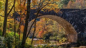 Vibrant autumn foliage along Blue Ridge Parkway in North Carolina