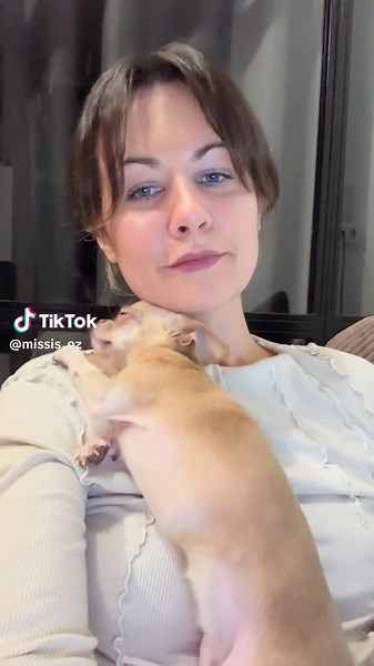 Чихуахуа: Ніжність та Лояльність у Львові