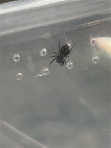 ᴬˡᵒʳᵃ ᡕᠵデᡁ᠊╾━ on Instagram: "Miss u"