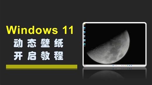 “史诗级”功能？Windows 11 动态视频壁纸回归，附启用教程