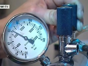 Photographs of microscopic worlds | Tomorrow Today