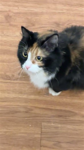 She tried to get away, I got dizzy spinning around 🫠, She answered me though 😂