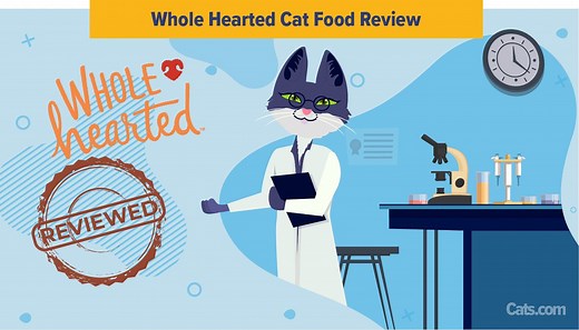 Unbiased WholeHearted Cat Food Review - Cats.com